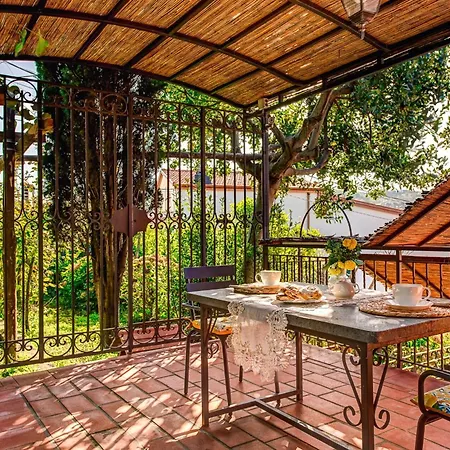 Sorrentina With Panoramic Terrace Villa *