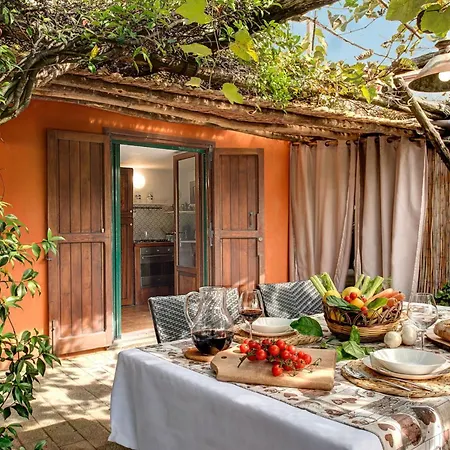 Sorrentina With Panoramic Terrace Villa *